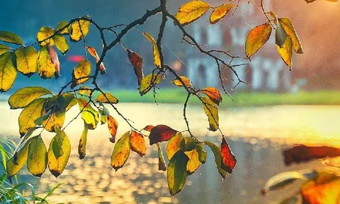 Cảm xúc với mùa Thu