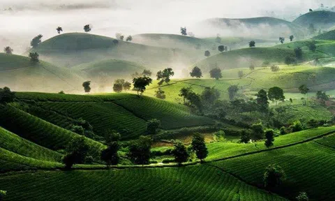 Ngày Thu về Đất Tổ