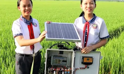 Học sinh lớp 9 sáng chế thành công "Hệ thống tự động phát hiện bệnh ở lúa"