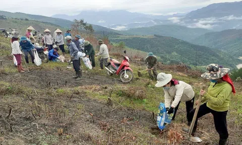 Điện Biên: Coi trọng phát triển kinh tế lâm nghiệp bền vững