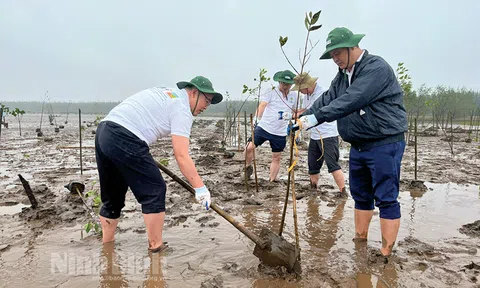 Ninh Bình: Thu hút vốn đầu tư nước ngoài vào lĩnh vực nông nghiệp