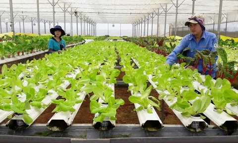 Thay đổi mô hình sản xuất nông nghiệp để đáp ứng tăng trưởng xanh