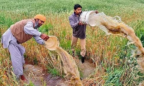 Ấn Độ: Nhiều chính sách ưu đãi đối với nông nghiệp, nông dân