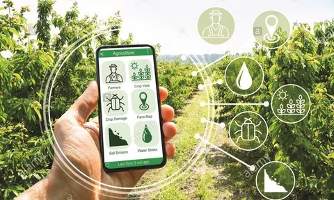 Phát triển kinh tế nông nghiệp không thể tách rời chuyển đổi số