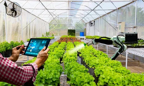 Chuyển đổi số trong nông nghiệp: Cuộc hành trình đầy áp lực và liên tục