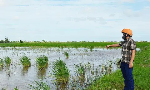 Làm thế nào để nông dân không chán ruộng?