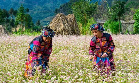 Du lịch trở thành ngành kinh tế mũi nhọn của Hà Giang