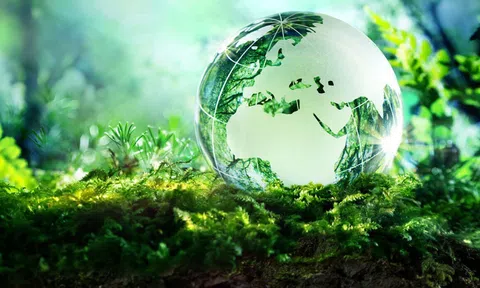 Làm nông nghiệp phải hiểu tự nhiên