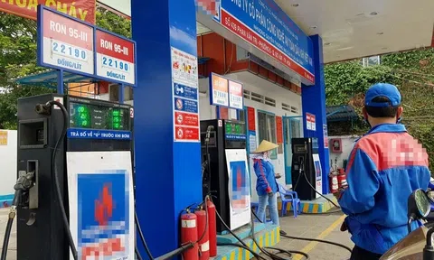 100% phương tiện giao thông đường bộ sử dụng xăng E5 từ năm 2030