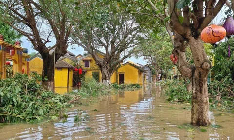 Cảnh báo dịch bệnh sau mưa bão, lũ lụt