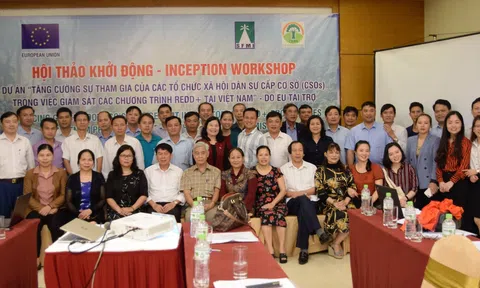 Ứng dụng công nghệ CFMS trong giám sát, bảo vệ rừng tại Việt Nam