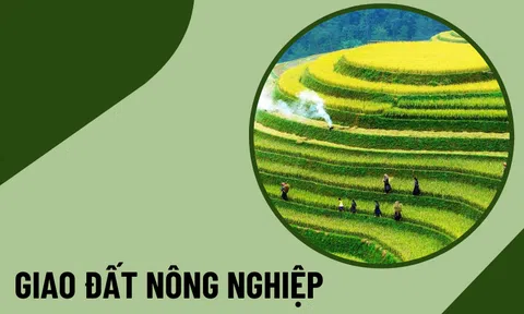 Hạn mức giao đất nông nghiệp theo luật mới nhất
