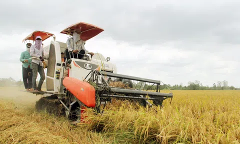 Điều kiện và giá đền bù bồi thường đất nông nghiệp năm 2023