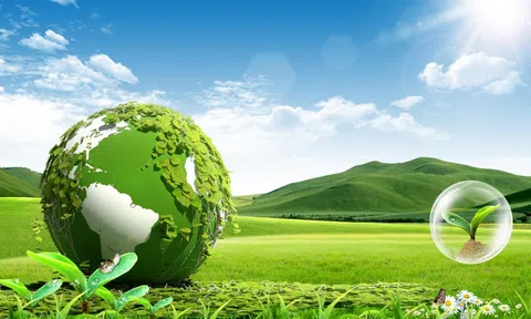 Nông lâm nghiệp bền vững, xu thế không thể đảo ngược