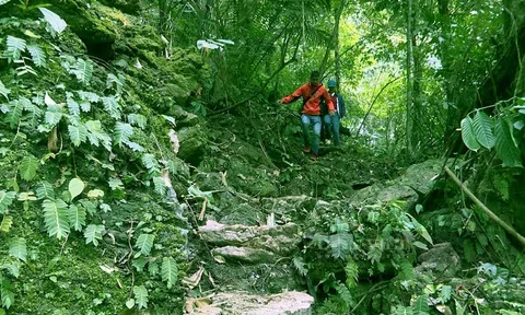 Một số vấn đề về lâm nghiệp ngày nay