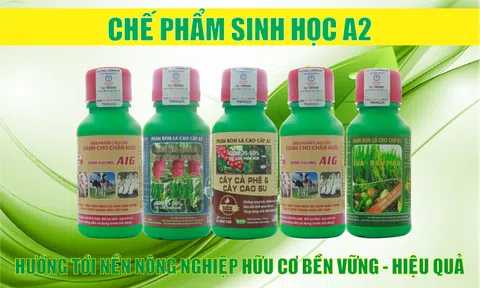 Chế phẩm sinh học trong trồng trọt hiện đại