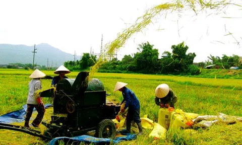 Vấn đề Tam nông trong tình hình mới