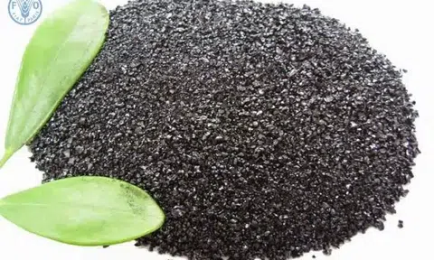 Sản xuất nông nghiệp sẽ tốt hơn khi dùng phân bón sinh học