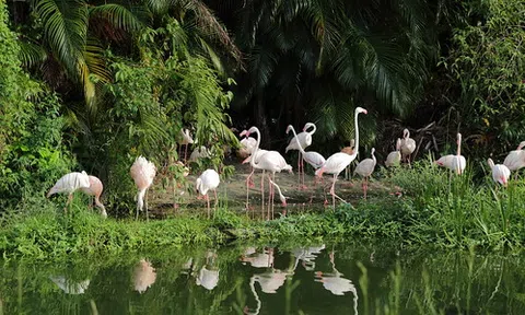 Tôn vinh những nỗ lực bảo tồn đa dạng sinh học