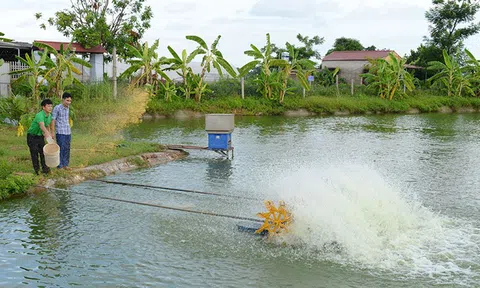 Thủy sản xanh hướng đến sự cân bằng giữa kinh tế, xã hội và môi trường