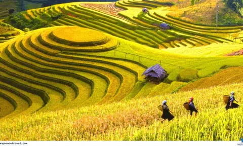 Ruộng bậc thang - Bản giao hưởng giữa mồ hôi, nước mắt con người và thiên nhiên