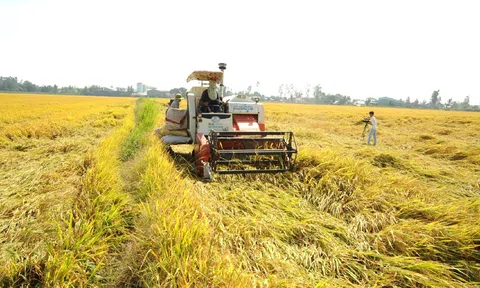 VIETGAP và GLOBALGAP: Bước đệm vững chắc cho nông nghiệp xanh phát triển