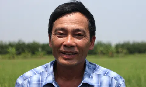 Dấu chân người làm xanh hóa cánh đồng - Hoàng Văn Ba người đi đầu cho nông nghiệp xanh ở Minh Tân (Bài 3)