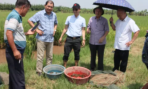 Nâng tầm giá trị nông sản và dược liệu bằng công nghệ cao