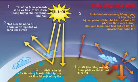 Tìm hiểu về hiệu ứng nhà kính