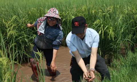 Bài học kết hợp "bốn nhà" trong phát triển Nông nghiệp sạch ở Minh Tân