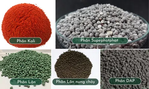 Thử bàn về nông nghiệp xanh và phân bón hóa học