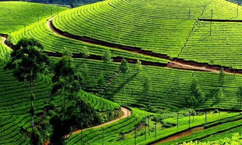 Nhận thức và sự thay đổi tư duy là khởi đầu cách mạng xanh trong nông nghiệp