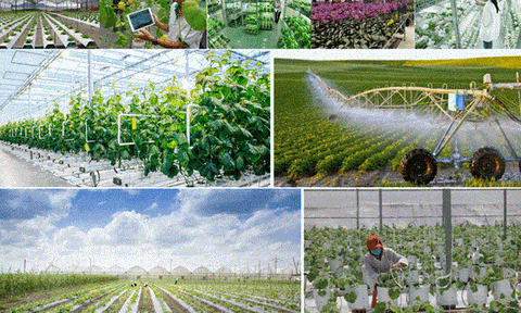 Nông nghiệp công nghệ cao là xanh hóa nền nông nghiệp hiện đại