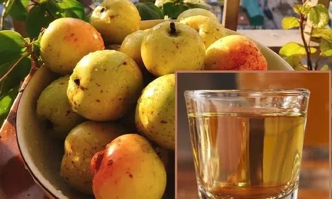 Rượu Táo Mèo - mang đậm nét tinh hoa của núi rừng sản phẩm OCOP đầy hứa hẹn