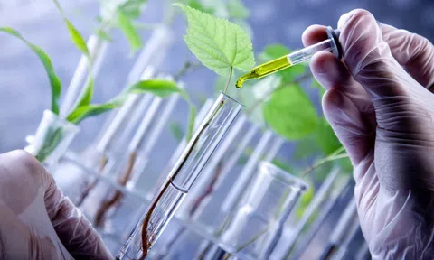 Công nghệ sinh học trong nông nghiệp: Kiến tạo một tương lai bền vững