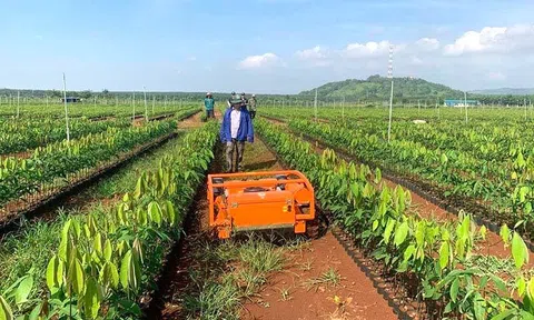 Nghiên cứu, đào tạo và tư vấn khoa học công nghệ: Chìa khóa thúc đẩy tương lai xanh cho nền Nông nghiệp xanh