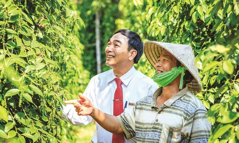 Vốn là khởi nguồn của đổi mới trong phát triển nông nghiệp, nông thôn