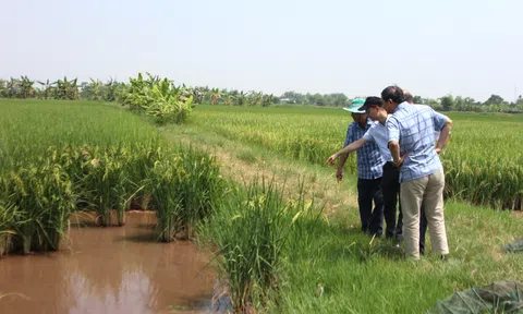Nông nghiệp xanh - Đồng hành cùng môi trường cho một hành tinh xanh