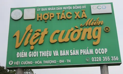 Hành trình chinh phục OCOP 5 sao của Miến dong Việt Cường (Bài 1)