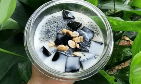 Từ cây dại thành đặc sản, món quà của núi rừng: Thạch đen