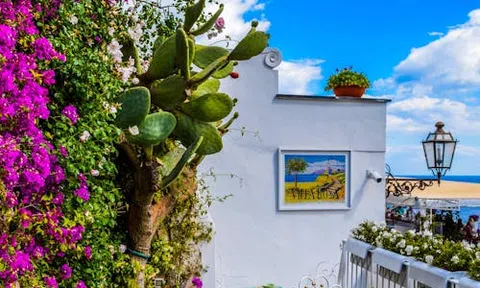 Hoa và cây cảnh và yếu tố xanh trong xã hội hiện đại