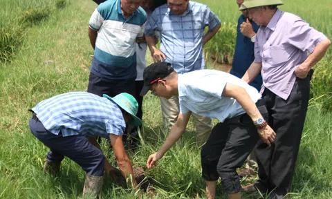 Đào tạo: Nền móng và chìa khoá thúc đẩy nông nghiệp xanh phát triển