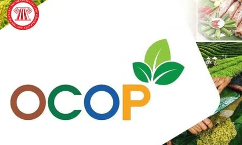 OCOP: Nâng tầm sản phẩm Việt, phát triển kinh tế nông thôn