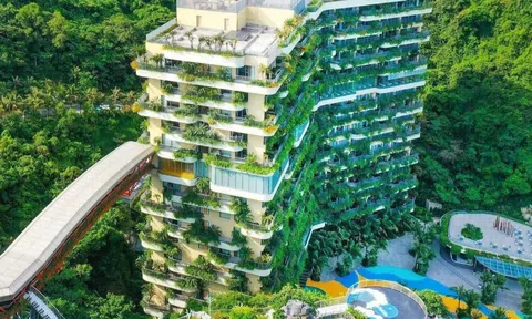 Net Zeo và khát vọng toàn cầu về phát triển bền vững