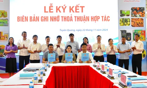 Tuyên Quang đẩy mạnh kết nối cung cầu tiêu thụ sản phẩm hàng hóa dịp cuối năm