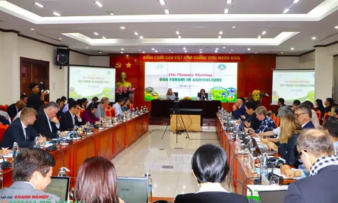 Định hướng ưu tiên sử dụng nguồn vốn ODA và vốn vay ưu đãi cho ngành nông nghiệp và phát triển nông thôn