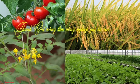 Thanh Oai khơi dậy nội lực kiến tạo tương lai