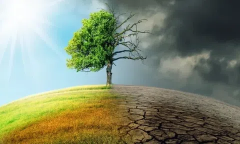 Thấy gì từ việc nhiều định chế tài chính lớn rút khỏi cam kết Net Zero?