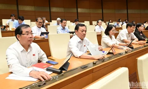 Quốc hội ấn định ngày bầu cử khoá mới