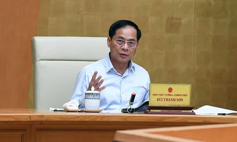 Phó Thủ tướng Bùi Thanh Sơn yêu cầu các bộ, ngành triển khai hiệu quả kết quả Hội nghị P4G